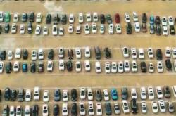 lol合区-体操赔率刷新纪录，竞猜热度飙升