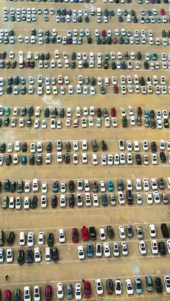 体操赔率刷新纪录，竞猜热度飙升