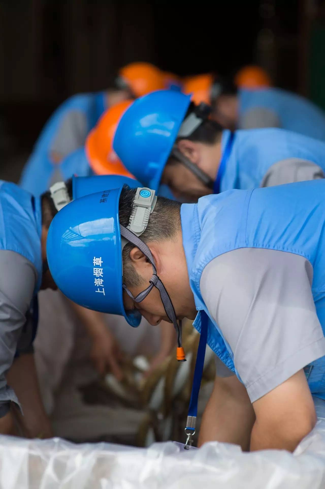 体操赔率刷新纪录，竞猜热度飙升